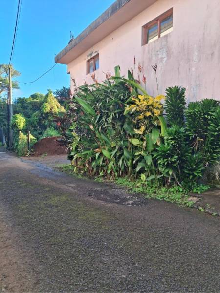 TERRAIN - 254m² + MAISON-2