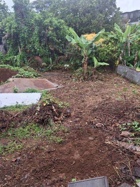 TERRAIN - 254m² + MAISON-2