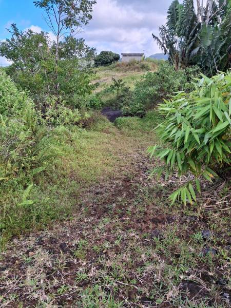 TERRAIN RESIDENTIEL - AVALON - 2309 m²-7