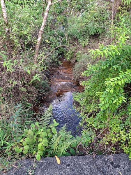 TERRAIN RESIDENTIEL - AVALON - 2309 m²-8