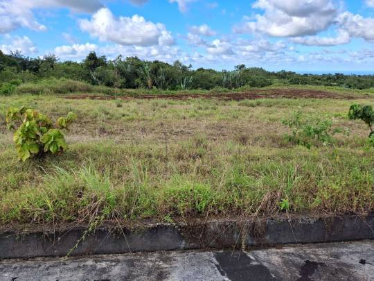 TERRAIN RESIDENTIEL - AVALON - 2309 m²-3