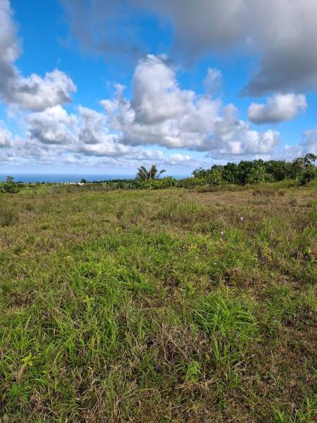 TERRAIN RESIDENTIEL - AVALON - 2309 m²-2