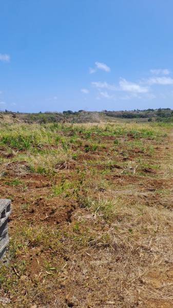 TERRAIN RESIDENTIEL - 261 m²-5
