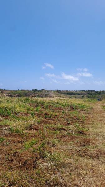 TERRAIN RESIDENTIEL - 261 m²-3